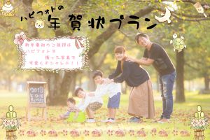 年賀状プラン