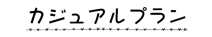 カジュアルプラン