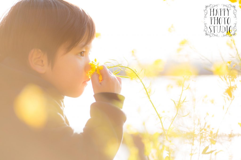 「菜の花撮影会」古賀と福津でも開催します！