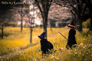 ハロウィン空飛ぶ修行